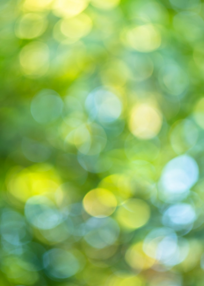 green and white bokeh lights